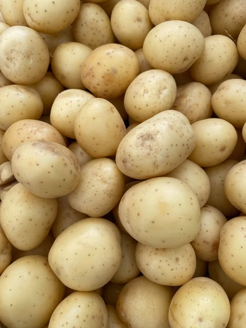 Padaria